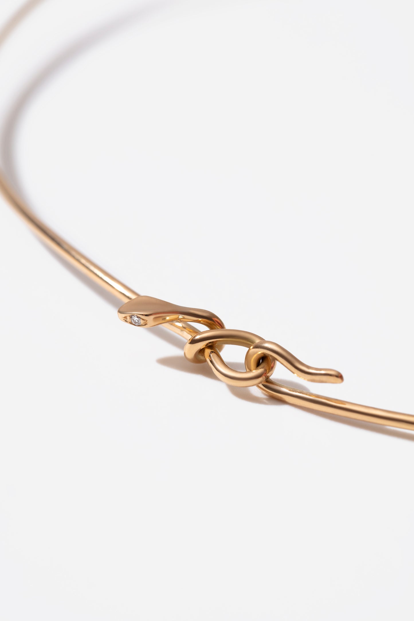 Serpent Torque Collar